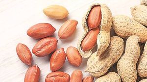 Ground Nut Seeds